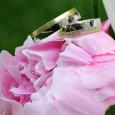 Adrika_Peter_068
